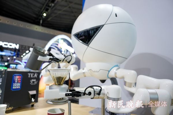 2024世界人工智能大會｜具身智能+人形機器人通用人工未來已來(圖3)