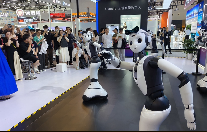 觸摸AI發(fā)展新脈動——2024世界人工智能大會觀察(圖6)