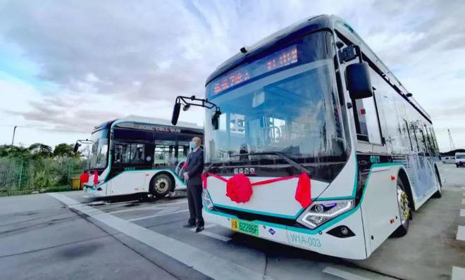 上海這些超長公交車、萌萌的小巴您乘坐過嗎？就在(圖6)
