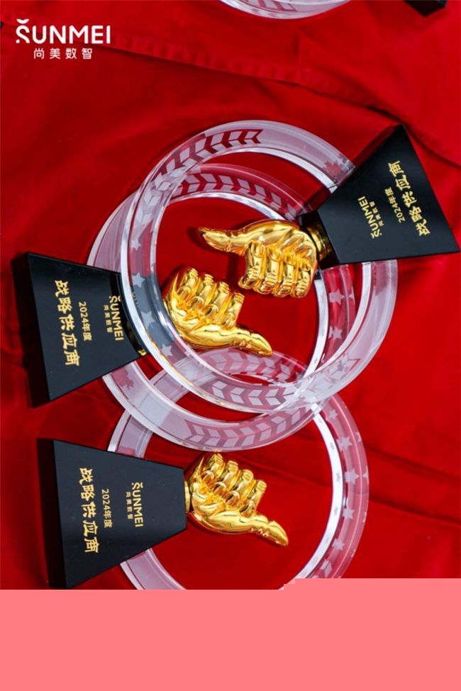 助力酒店智慧轉(zhuǎn)型九號(hào)機(jī)器人獲“2024年度戰(zhàn)略供應(yīng)商”最高獎(jiǎng)！(圖1)