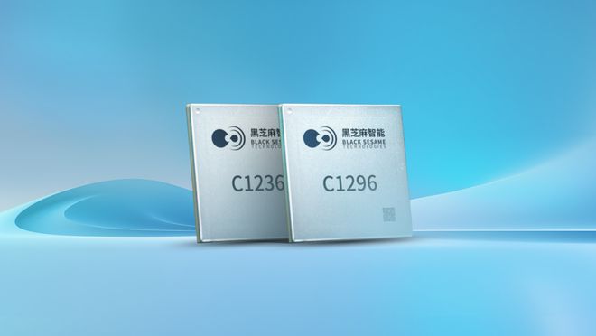 必一運(yùn)動(dòng)：黑芝麻智能毛利翻倍的秘訣(圖3)